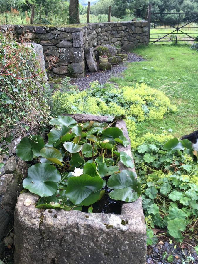 Perthi Uchaf Villa Llanberis Buitenkant foto