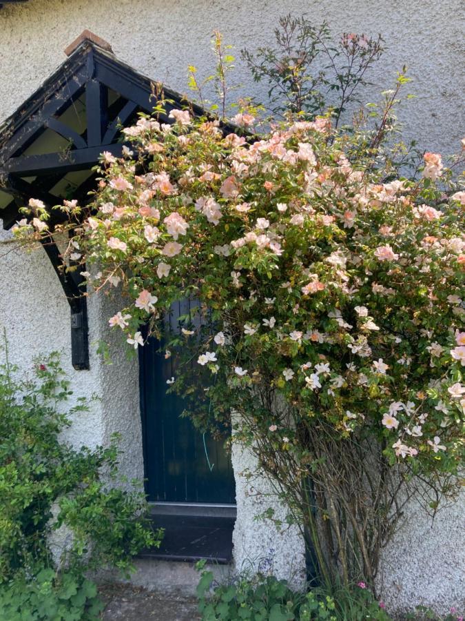 Perthi Uchaf Villa Llanberis Buitenkant foto